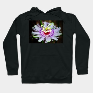 Passion Flower Hoodie